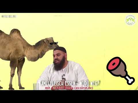 Ahmad Abul Baraa - KAMELFLEISCH ESSEN - WUDU WEG?