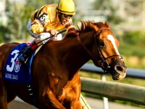 Canadian Horse Racing Hall of Fame - 2016 Male Thoroughbred Horse Inductee - Wise Dane