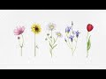 Yung Kai Wildflower Official Audio