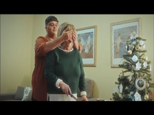 El Cabildo de La Gomera y su "vuelve a casa por Navidad"