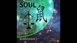 Soul Music Video