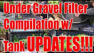 Under Gravel Filter - Compilation w/ UPDATES