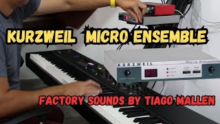 Video thumbnail for KURZWEIL MICRO ENSEMBLE - FACTORY SOUNDS by TIAGO MALLEN (MODULE SOUND) PUNCH LINDO! #kurzweil by Tiago Mallen