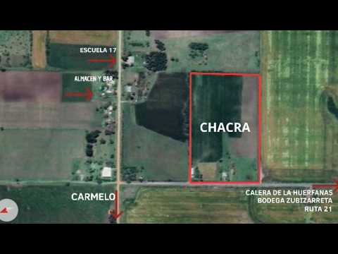 Chacra 7 has. Colonia Arrue