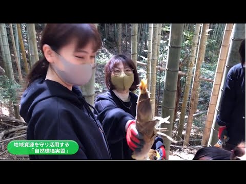 人間生活学部生活デザイン学科－地域デザイン領域