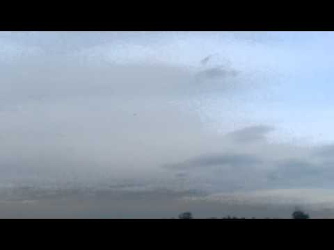 Shahzad bhai birthday paich