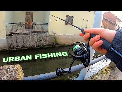 Streetfishing efter karpefisk med jig i Norditalien