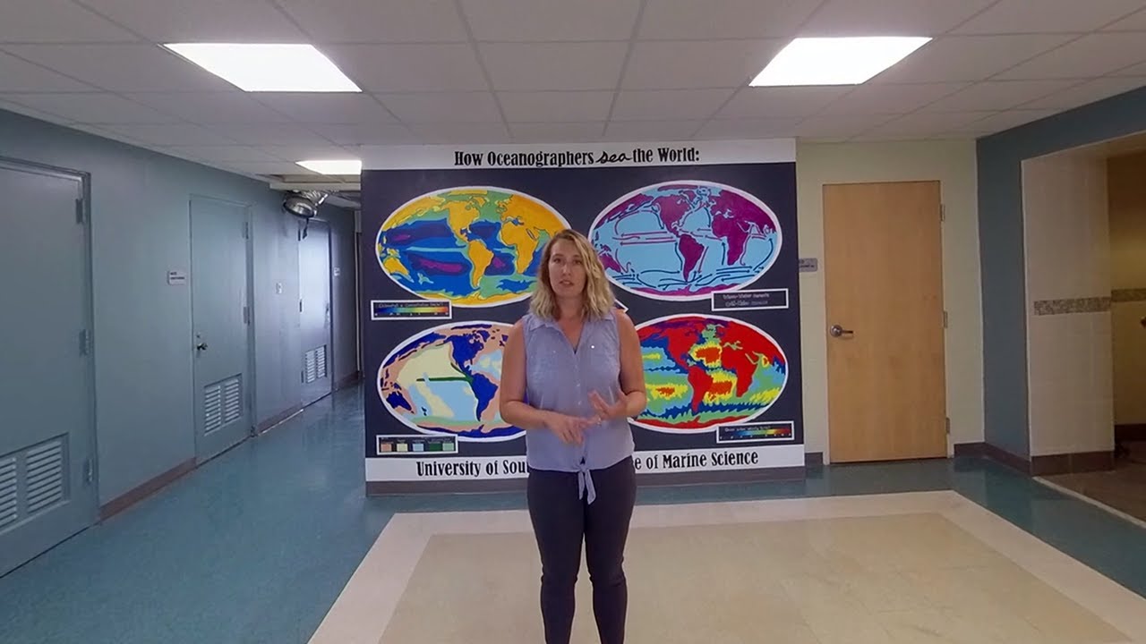 The USF College of Marine Science: A Brief Tour