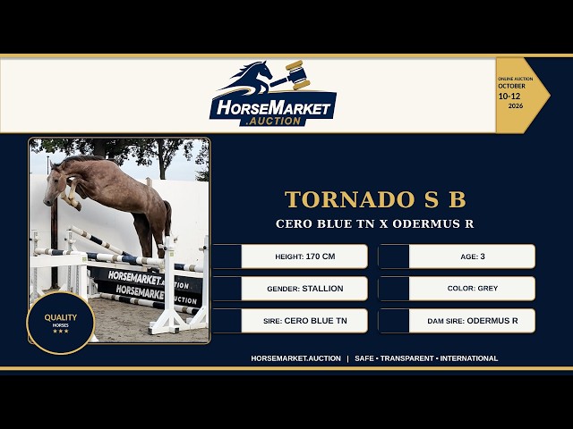 Tornado S B