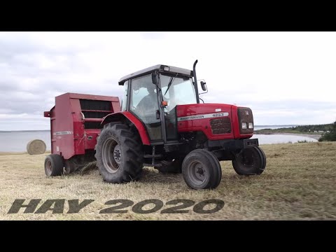 HAY 2020: Oceanfront Hay Making