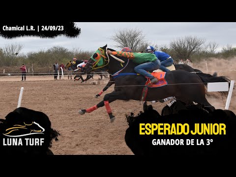 HIP. "EL QUEBRACHAL" CHAMICAL L.R. || 24/09/2023 :: ESPERADO JUNIOR; K MILENIO; PATITA; TOYO; LA 15