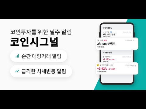 코인시그널