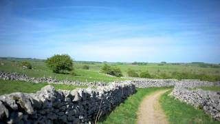 Monyash Walk Fern Dale