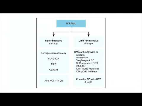 Management of AML in Adults: Consensus of the SSBMT – Dr. Bader Al Ahmari (May 26-27, 2023)