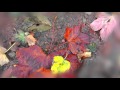Durutti Column - Goodbye