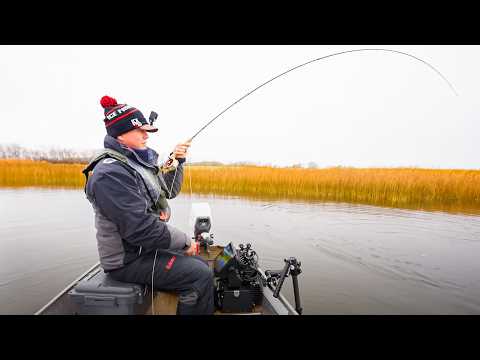 Tiny Boat For Big Fish