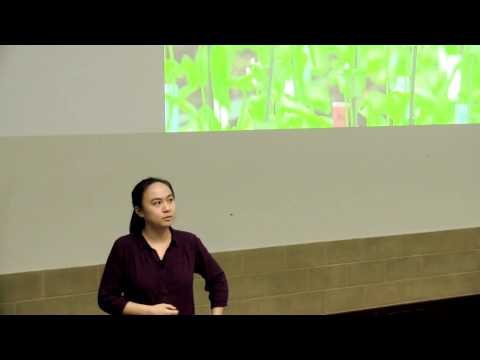 3MT UWA Finals 2014 - Kelly Sun