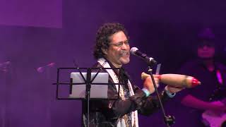 Morena. Los Felinos en vivo ACDMX