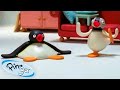Summertime With Pingu Pingu Official Channel Cartoons For Kids