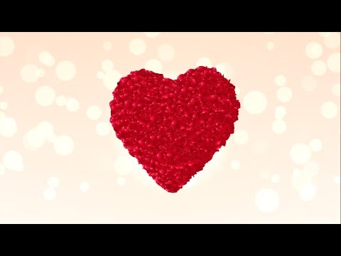 Professional Wedding Intro Opener | After Effects Project Files ❤