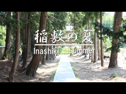 【稲敷市】稲敷の夏　Inashiki City, Ibaraki Prefecture, Japan,summer