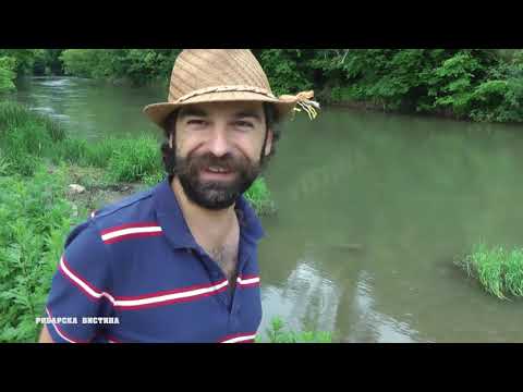 Ribolov na klen na riboloven revir Treska 2 Ribarska Vistina