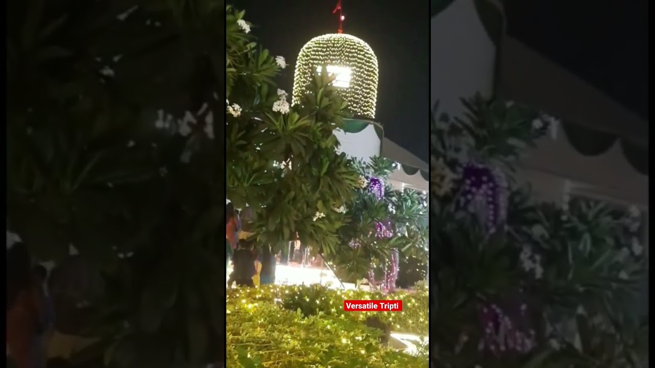 Guruji ka Ashram❤️ l Mini Vlog l Bade Mandir l #guruji #bademandir #dugriwaleguruji