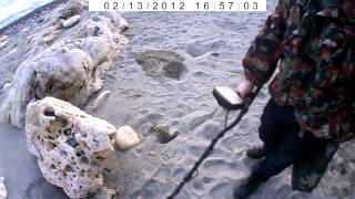 preview picture of video 'Поиск с металлоискателем 2. Beach search with metalodektor in Sevastopol, Krimea, part 2'