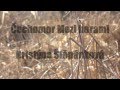 Čechomor - Mezi horami (Kristýna Štěpánková) 