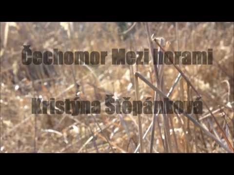 Čechomor - Mezi horami (Kristýna Štěpánková)