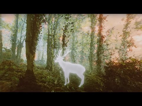 Dreamers Delight - ATLAS (Official Visualizer)