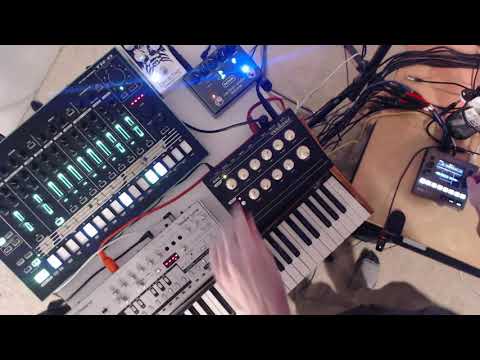 Hot & Fresh Acid Techno (TR-8, TB-03, Kick Lancet, Blackbox, Carbon Copy Deluxe and Levitation)