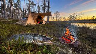 Download lagu Solo Off-Grid Camping by a Remote Lake | Pike Catch & Cook mp3 Download lagu Solo Off-Grid Camping by a Remote Lake | Pike Catch & Cook mp3