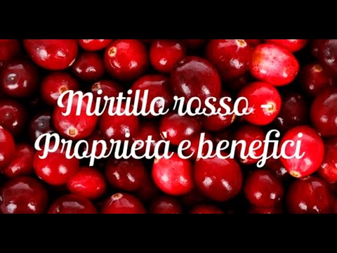 , title : 'Mirtillo rosso - I benefici del mirtillo'