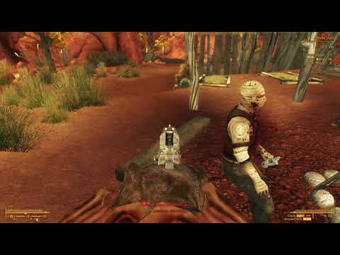 Make the first shot count! you won't get a second...