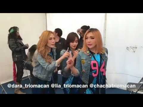 Tingkah lucu trio macan ketika ada cowok