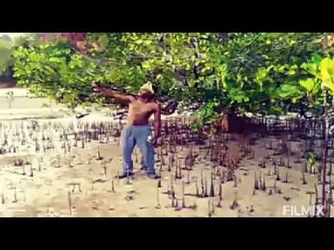 xhenobizzy ft rapcha #freestyle wanene TV #video cover