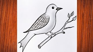 Bird drawing|| Simple bird drawing|| pencil shading drawing|| How to draw bird🐦