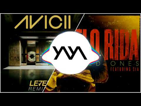 Levels (Skrillex Remix) x Wild Ones [Y/\Y/\ Mashup]