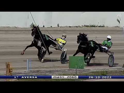 Aversa trotto 26 Ottobre 2022 - 1° Corsa