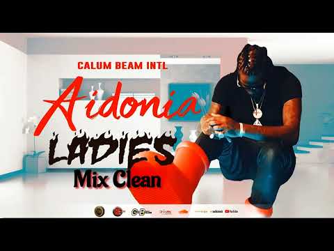 Aidonia Mix 2025 Clean | Aidonia Mixtape Clean | 100% Aidonia Gyal Session | Calum beam intl