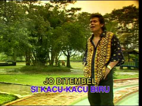 PERRY VP : Kacu Biru