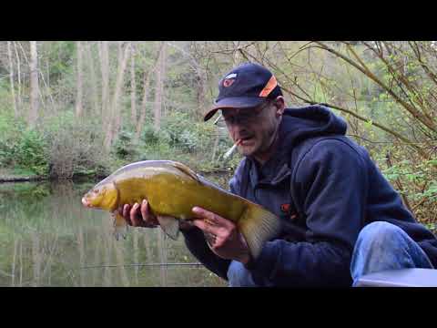 Float Fishing for Tench,  Busbridge Lake.