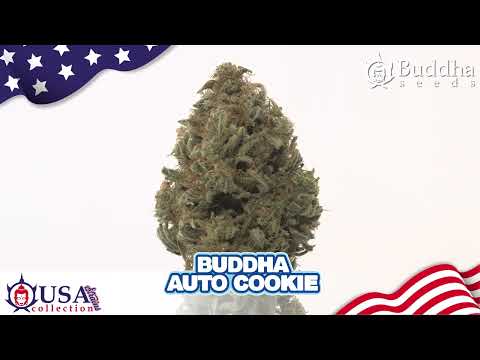 Youtube video preview