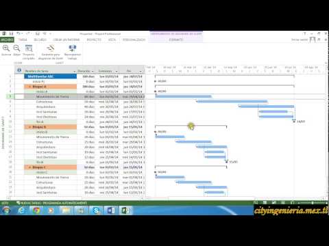 Microsoft Project 2013 - Facil de Aprender  (2/2)