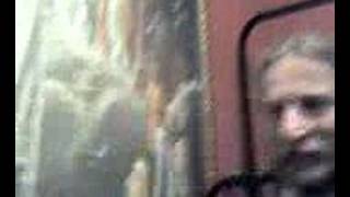 Bluegrass Portoalegrense "Up above my head"