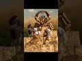 The Mummy Returns Movie Last Scene The Mummy Returns Whatsapp Status Adventure Movies Status