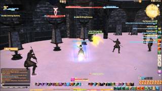 FFXIV Summoner [Devastating DPS Macro] Tutorial