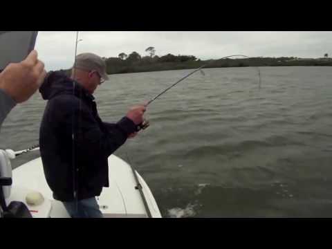 Inshore Fishing Mosquito Lagoon for Redfish — New Smyrna Beach