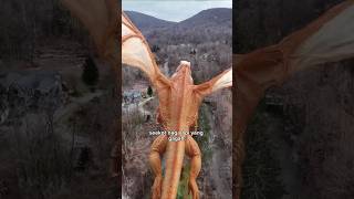 Download lagu Bringing home a giant dragon egg mp3